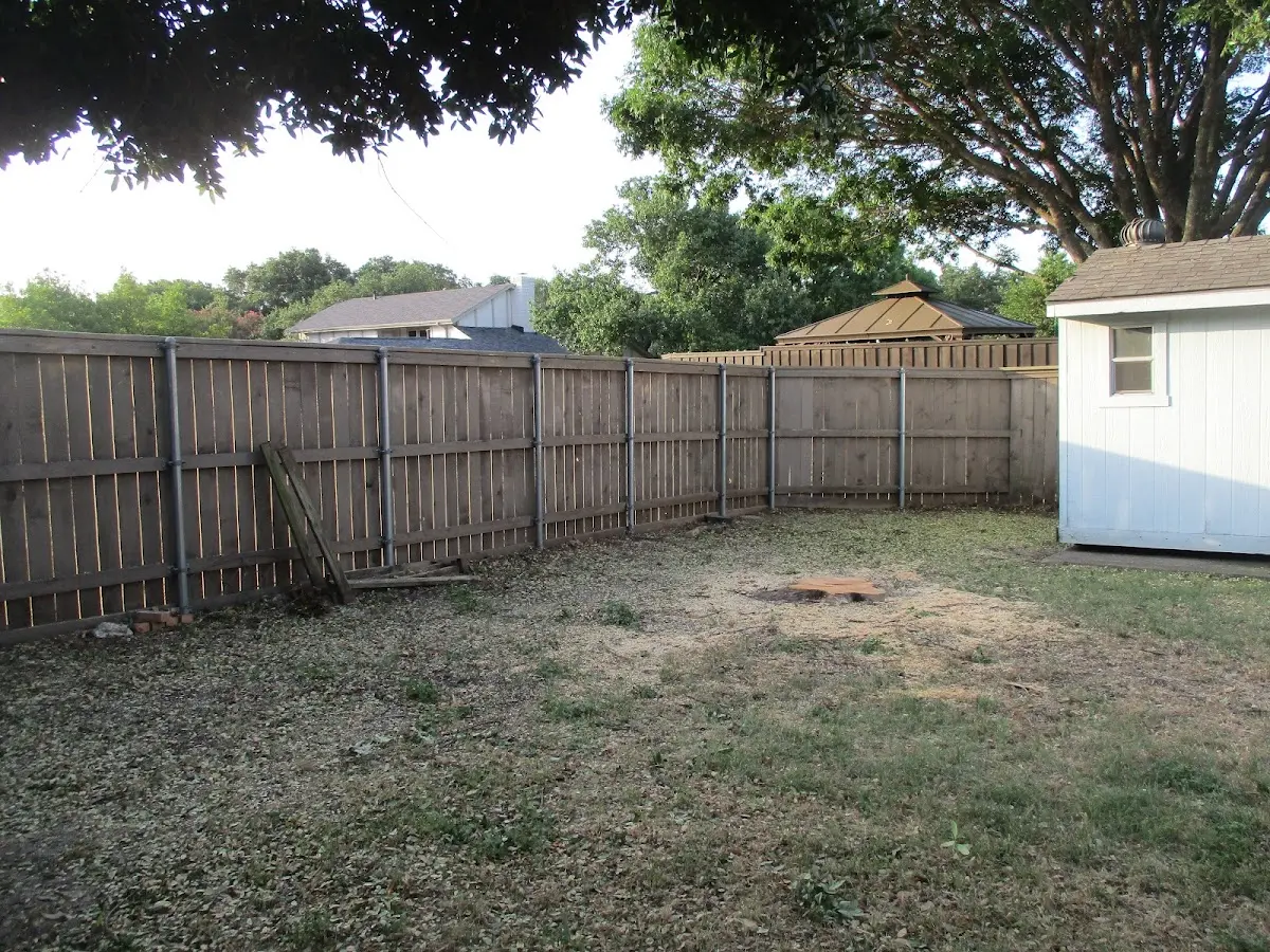 Cleared yard after professional tree removal in Shelby